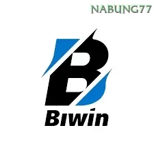 Biwin nabung77